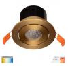 Prime - Brass Tilt CCT WIFI LED Downlight IP54